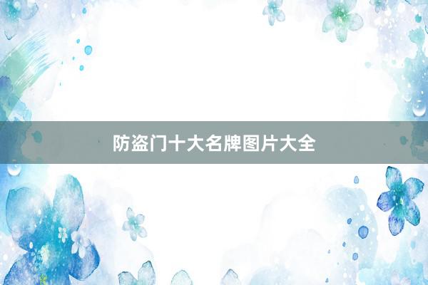 防盗门十大名牌图片大全
